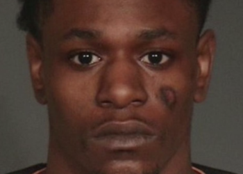 Christopher Buggs Brooklyn Murder Riker's Island misdemeanor NYPD Ernest Brownlee NYPD