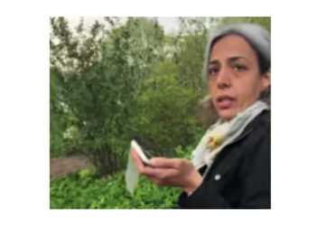 New Central Park Karen, New York, hate crime, YouTube, Lambert, Alana Lambert