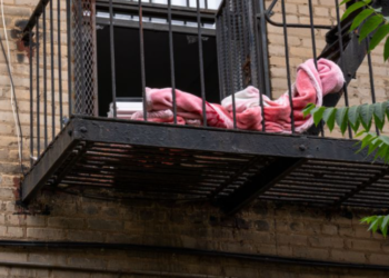 Jarrell, Dejhanay Jarrell, mental illness, postpartum, Brooklyn, Brownsville, window, attempted murder