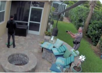 Jack Rodeman George Smyrnios Tasered