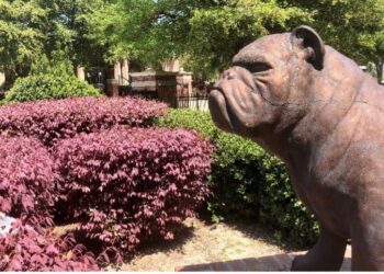 South Carolina State University, Student, Debt, Eliminate, Clear, $9.8 million, HBCU