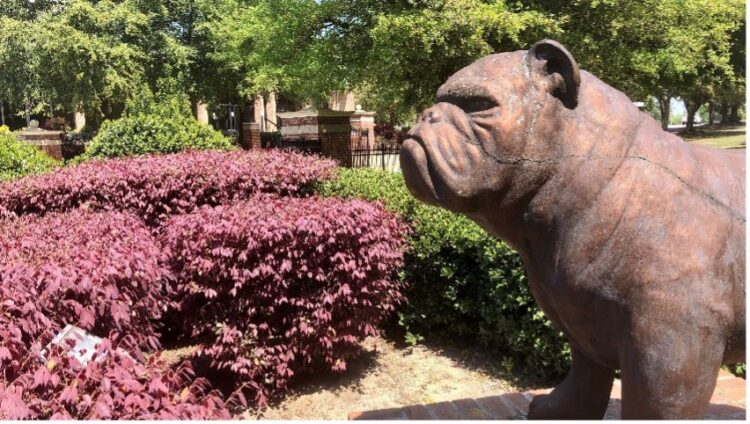 South Carolina State University, Student, Debt, Eliminate, Clear, $9.8 million, HBCU