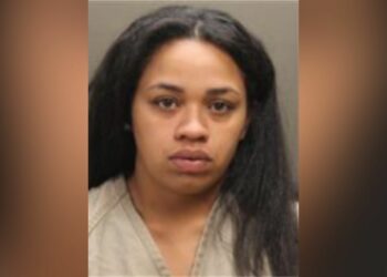 Trenise Turner, shot, son, intoxicated