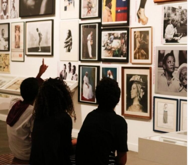 Afro Brazil Museum, Brazilian, art, history