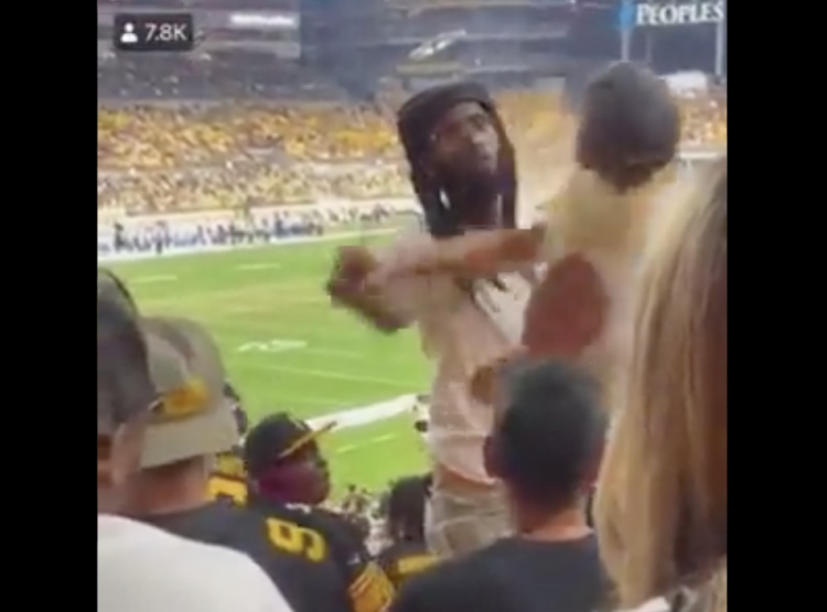 police, slapped, Becky, Steelers, Heinz Field, Pittsburgh, brawl, Black man