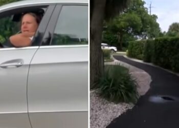 Patricia Schmidt, half-breeds, rage, children