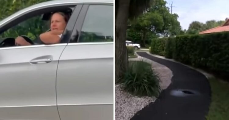 Patricia Schmidt, half-breeds, rage, children