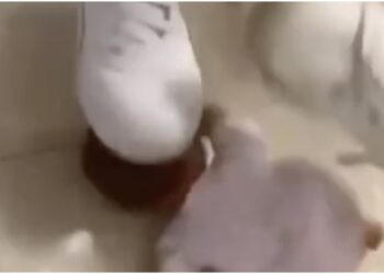 Salinas,students,Shaniqua teenagers stomp Black doll