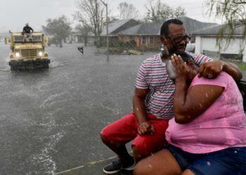 FEMA, Ida, website, hotels