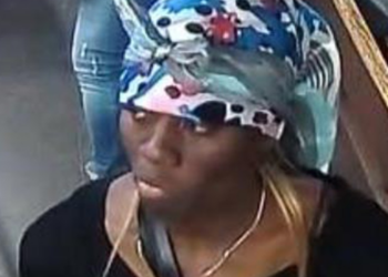 Anthonia Egegbara, Times Square, Subway, Train, Charged, Attempted Murder, New York