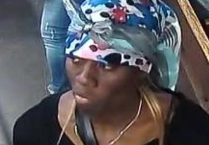 Anthonia Egegbara, Times Square, Subway, Train, Charged, Attempted Murder, New York