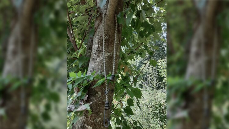 therapist, Lawson-McCants, noose, hostile, Alabama Mentor