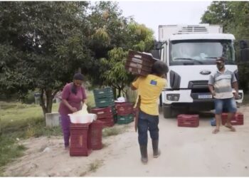 Afro-Brazilian Farmers São Paulo Brazil