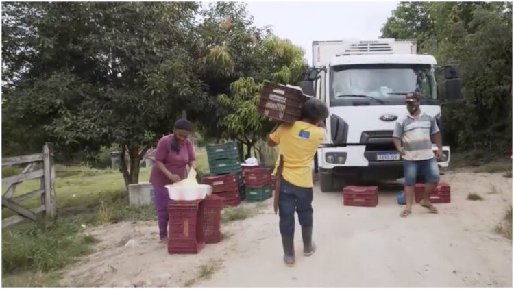 Afro-Brazilian Farmers São Paulo Brazil
