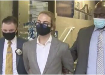 Nathaniel Direnzo attacked 11-year-old NYC