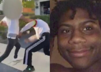 Porties, mutual combat, defense