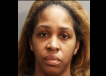 Claudia Williams, Brooklyn, video, execution-style, Delia Johnson, Delia Berry, Florida