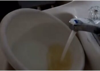 Flint water crisis Mayor Weaver Judge Levy