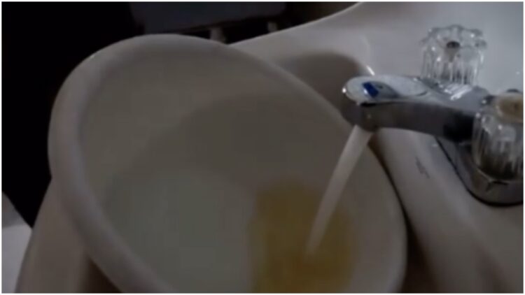 Flint water crisis Mayor Weaver Judge Levy