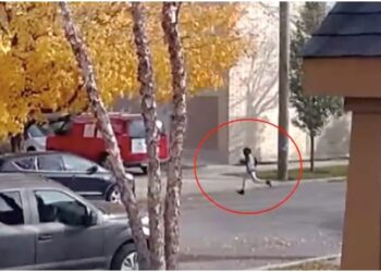 carjacked Chicago 10-year-old child