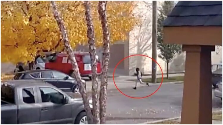 carjacked Chicago 10-year-old child