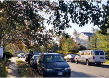 Black woman tree Annapolis Maryland