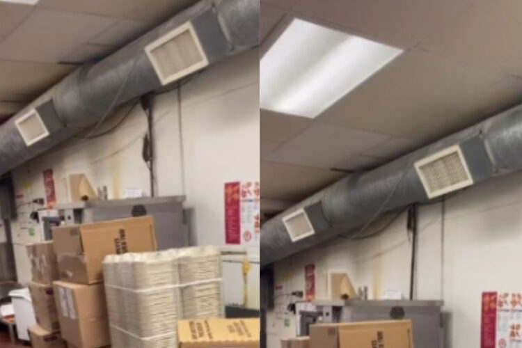 Popeyes, TikTok, DC, Washington D.C., rats, food code