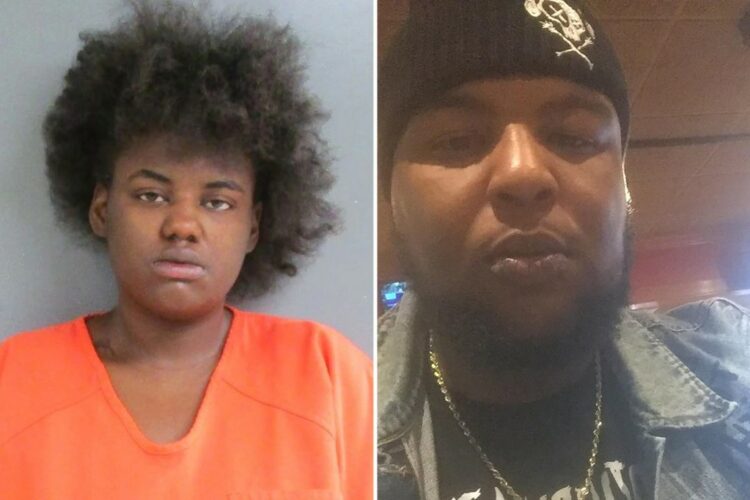 Miykiah Sneed, Malik Dearing, Fatal Stabbing, Jackson, Michigan, Sentencing, Jail, Probation.