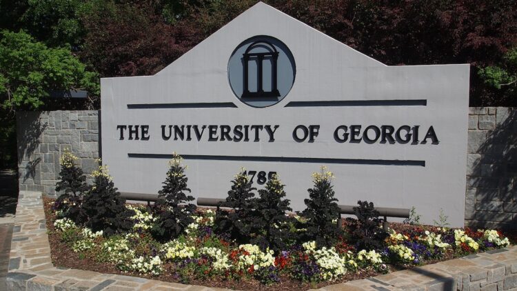 descendents, of, displaced, black, community, want, reparations, from, uga