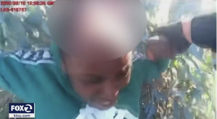 Talmika Bates scalp Brentwood police dog Los Angeles Marco German Shepherd