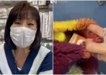 Asian Karen Megan Milan Hi Fashions