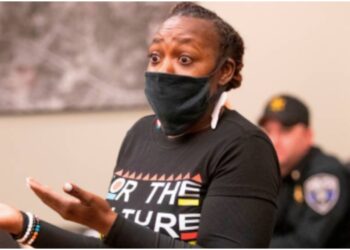 Tanya Fox Caseyville Illinois police racial profiling