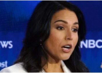 Tulsi Gabbard Biden Supreme Court