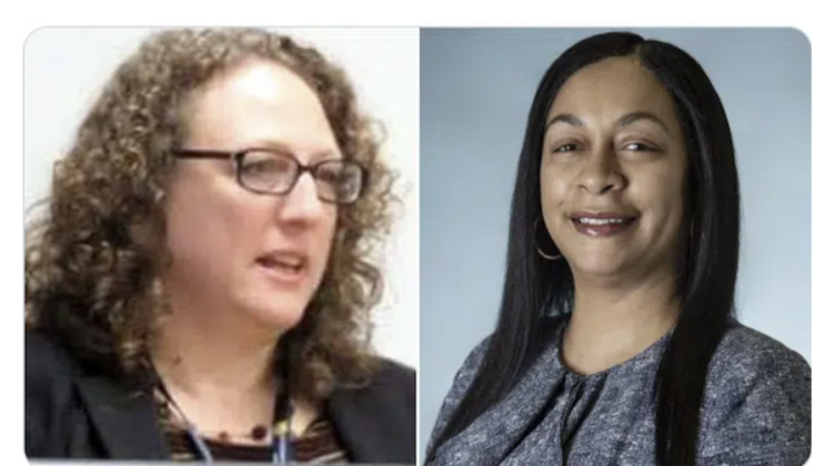 Danielle Green, Arthur Woodson, Laura MacIntyre, school board, treasurer, president,activist, fight