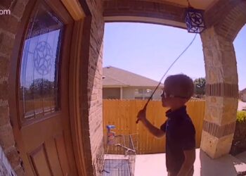 Dallas white boy whip Black neighbors door Dee Carissa Nash