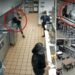 Taco Bell, employees, burns, boiling hot water, Brittany Davis, C.T., minor, niece, manager, lawsuit, assault