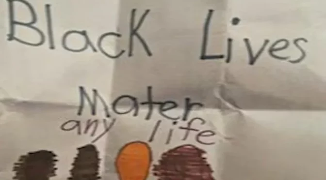 Chelsea Boyle, Viejo elementary School, California, Black Lives Matter
