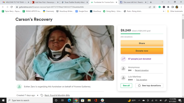 GoFundMe, boy, babysitter, hero, pitbull, mother, Cortney Neal, Carson Neal, attack
