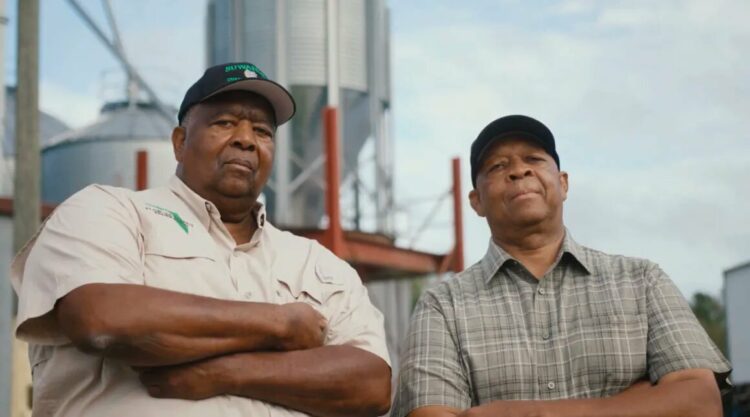 farmers, Black, Florida, state, medical marijuana, Department of Health, license, application, Terry Donnell Gwinn
