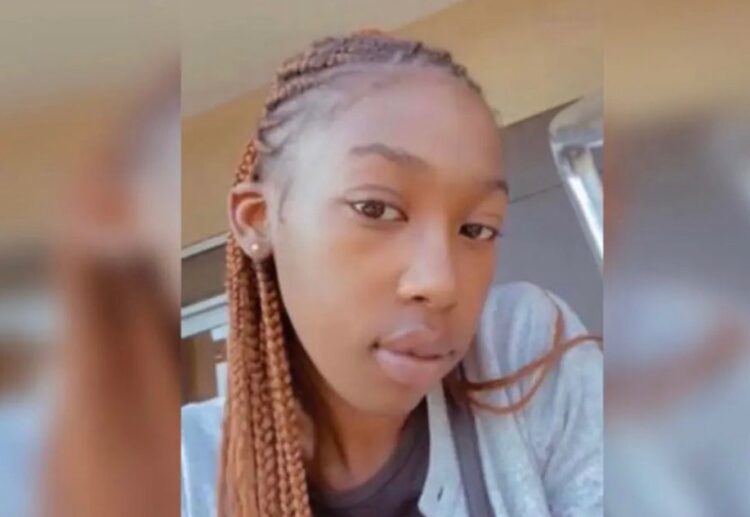 Stephanie Harris, suitcases, Brooklyn, apartment, murder, ex-boyfriend, suspects, Dasia Johnson