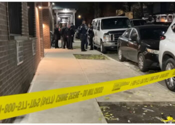 Dimone Fleming, Bronx