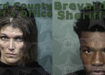 Williams, Stokes, Florida, shooting