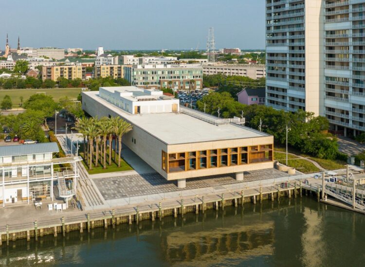 African Diaspora, culture, ceremony, opening, museum, art, African American, history, IAAM, International African American Museum