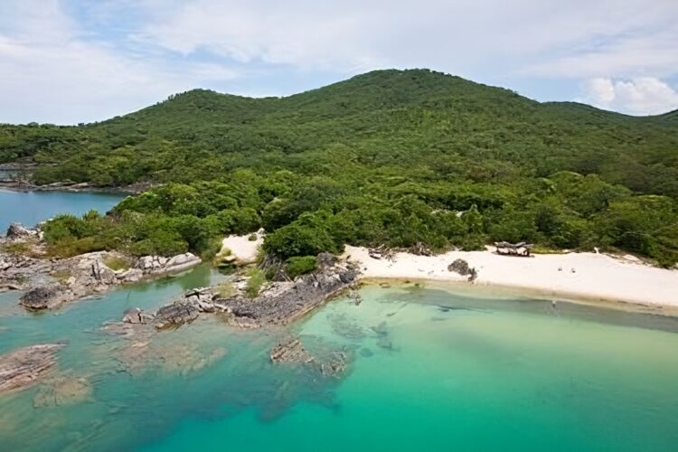EARS East African Africans two continents
