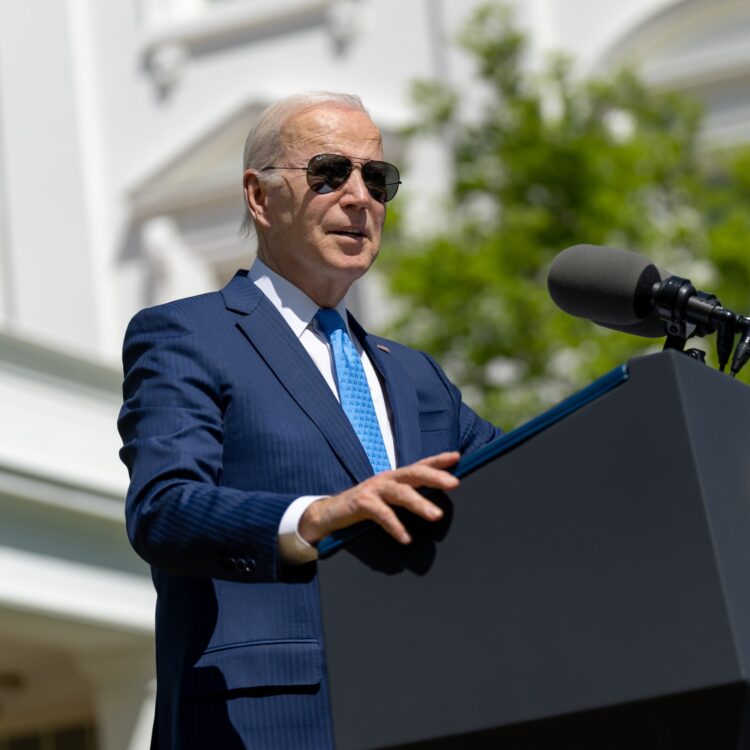 President Biden Black voter Inflation Democratic