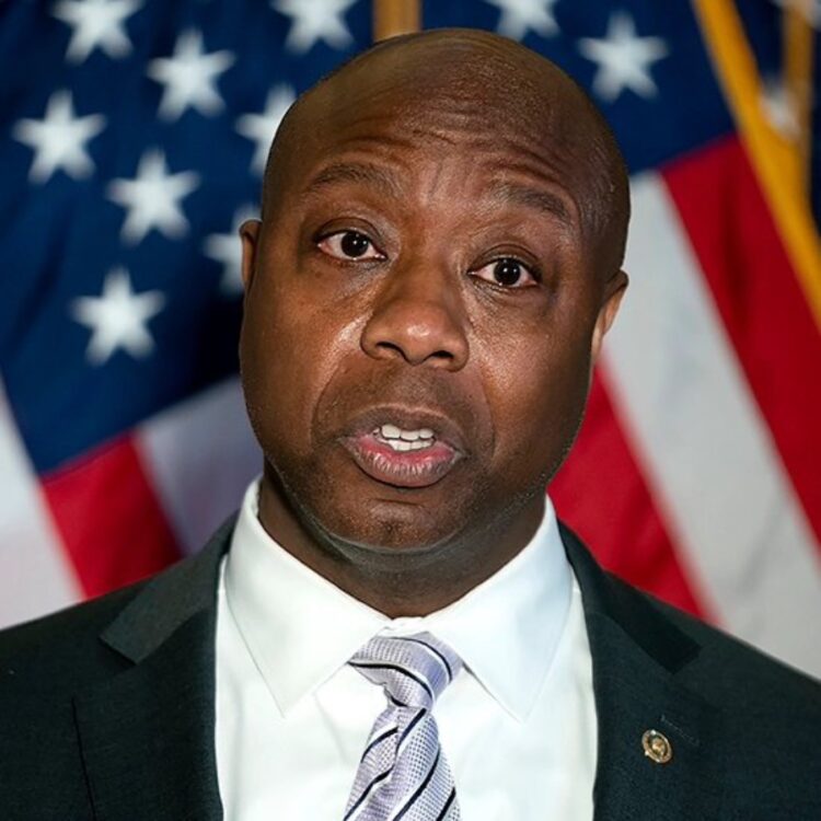 Tim Scott, Black Republican senator South Carolina President Donald Trump Gov. Ron DeSantis