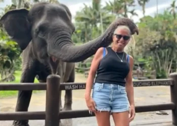 Bali, arm, Bogar, elephant, Park and Lodge