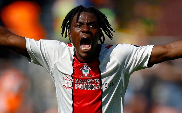 Southampton, Liverpool, bid, Lavia